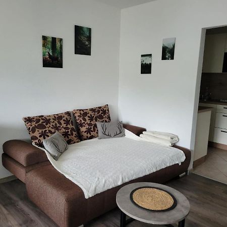 Ferienwohnung Hilde Bad Peterstal-Griesbach Buitenkant foto