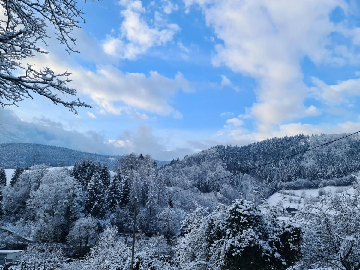 Ferienwohnung Hilde Bad Peterstal-Griesbach Buitenkant foto