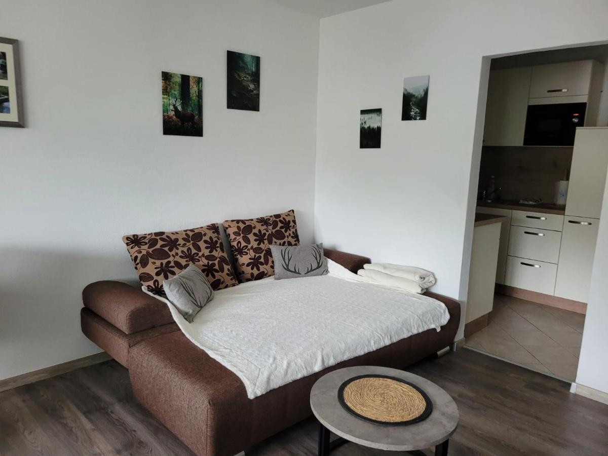 Ferienwohnung Hilde Bad Peterstal-Griesbach Buitenkant foto